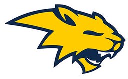 Neuqua Valley High School logo